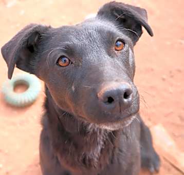 Photo of Tuk