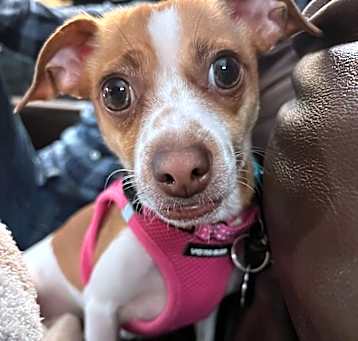 Photo of Glowy
