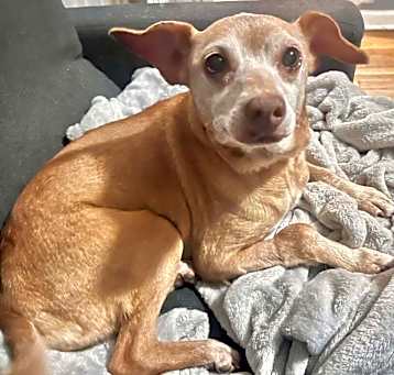 Photo of Myrtle