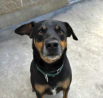 Photo of BEAU