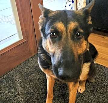 Photo of Bonnie
