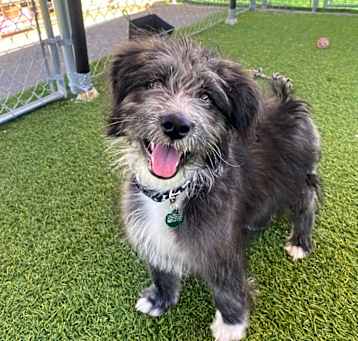 Photo of Stryker