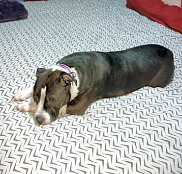 Photo of Connie