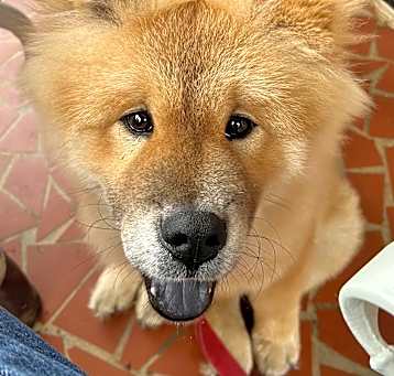 Photo of Happy