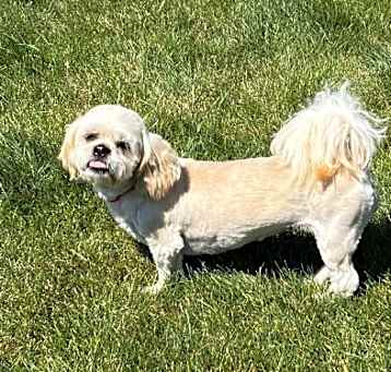 Photo of Mabel