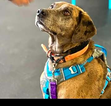 Photo of Roux