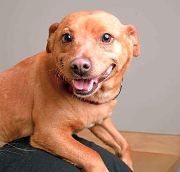 Photo of Archie Redman D64789