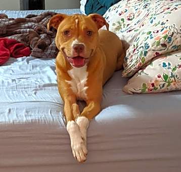 Photo of Penelope