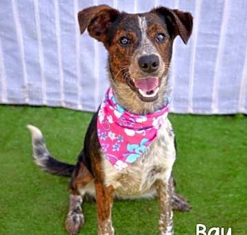 Photo of Bay