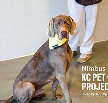 Photo of Nimbus
