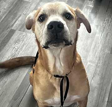 Photo of Roscoe