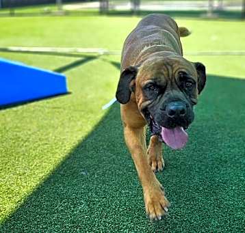 Photo of Gus