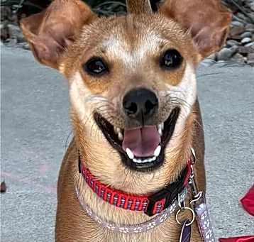 Photo of Ivy