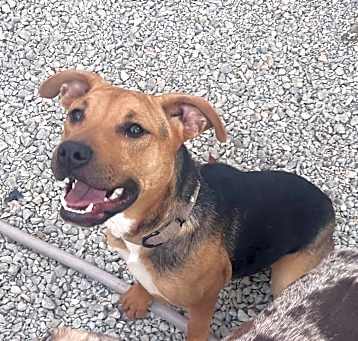 Photo of Josie
