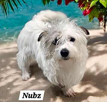 Photo of Nubz