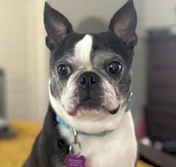 Photo of Stella Louise