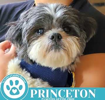 Photo of Princeton 041225