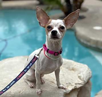 Photo of Twiggy