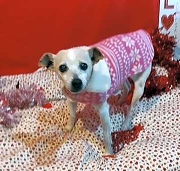 Photo of Baby Ruth