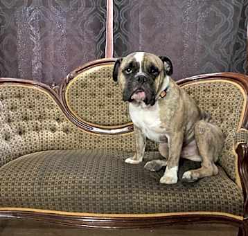 Photo of Murph
