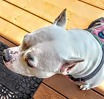 Photo of Maya