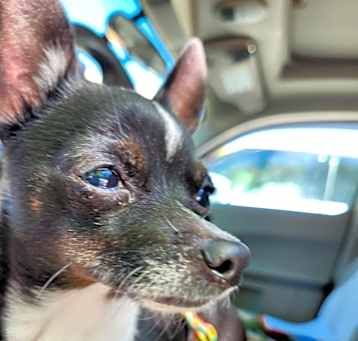 Photo of Sally Mae