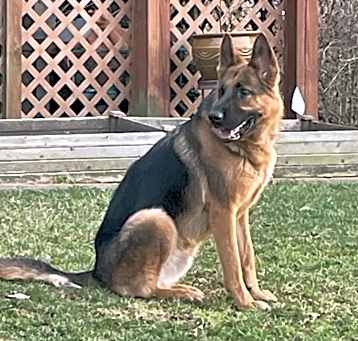 Photo of Zeus