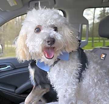 Photo of Fynn