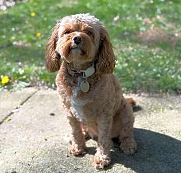 Photo of Sophie