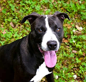 Photo of Coco