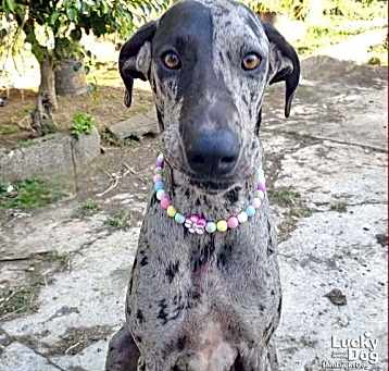 Photo of Lara