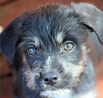 Photo of Hermes