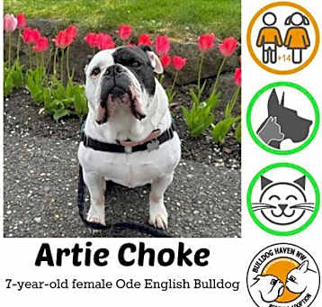 Photo of Artie Choke