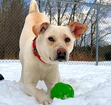 Photo of Chloe