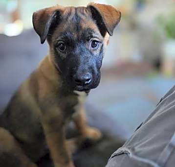 Photo of Finn