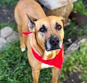 Photo of IZZIE