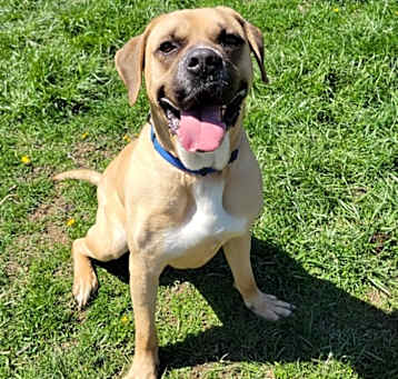 Photo of Cooper
