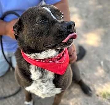 Photo of MACY