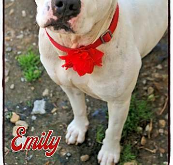 Photo of Emily