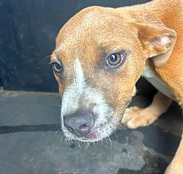 Photo of Flame