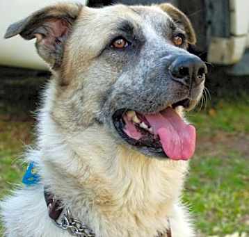 Photo of Mr. Charlie