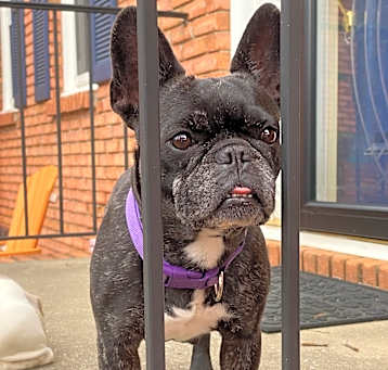Photo of LULU
