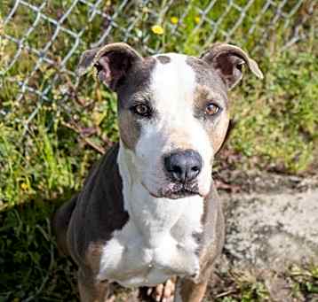 Photo of Lucy 
