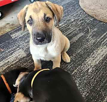 Photo of Tater