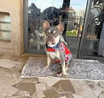 Photo of Drift