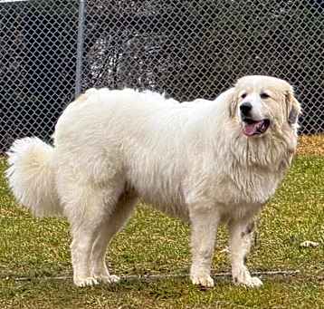 Photo of Dunkin