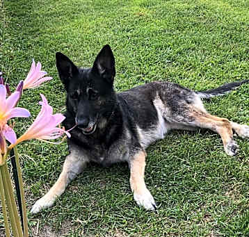 Photo of Maria