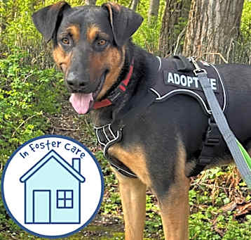Photo of Buster
