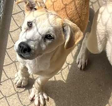 Photo of Slugger