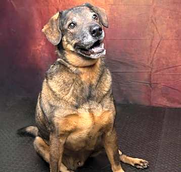 Photo of Rolo